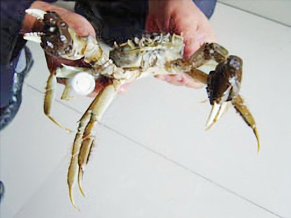 特色產品