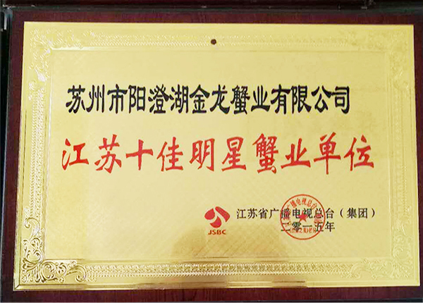 公司榮譽(yù)
