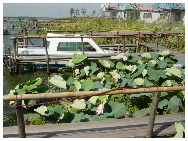 蓮花島湖心舫