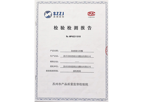 檢驗(yàn)檢測報(bào)告
