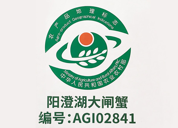 編號